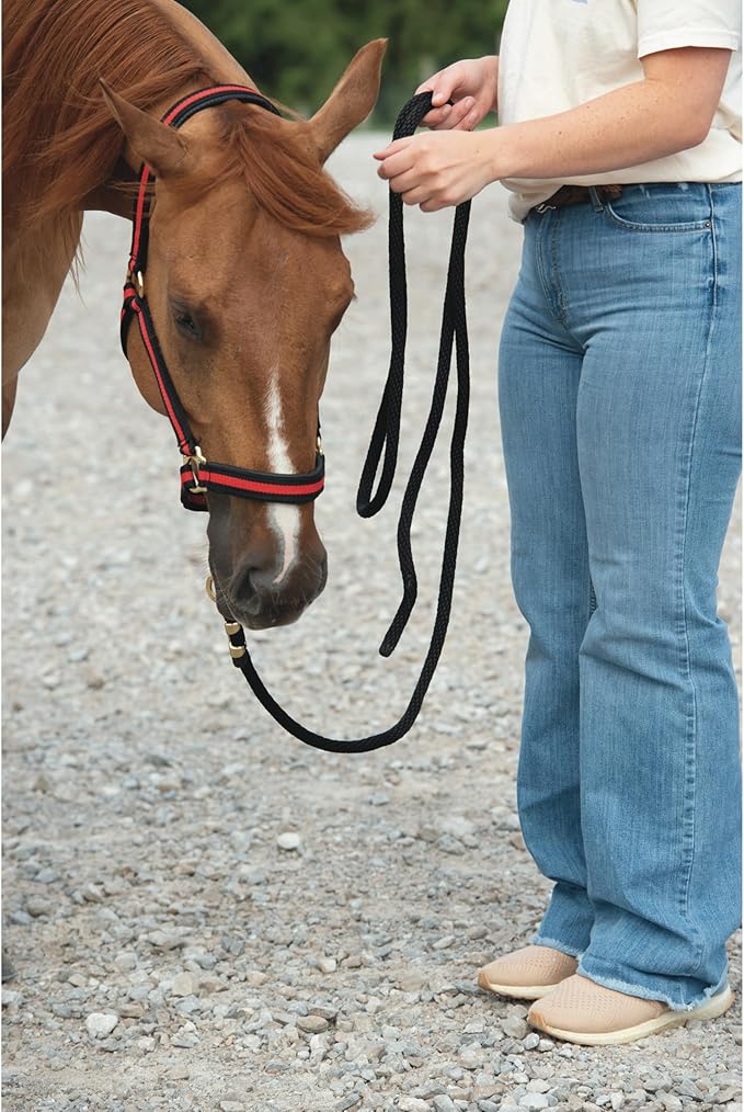 Weaver Equine Performance Lead Rope, Long Horse Lead Rope with Quick Halter Attachment, Soft Comfort Grip, Barn Horse Tack for Daily Use & Showing