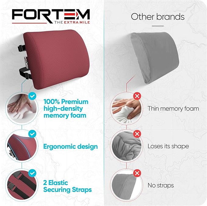 FORTEM Lumbar Support Pillow for Office Chair, Lumbar Support Pillow for Car, Back Rest for Gaming, Memory Foam Pillow, Desk Chair Cushion, Breathable & Washable Cover, Adjustable Straps