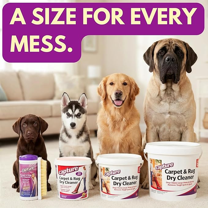 Capture Carpet & Rug Dry Cleaner w/Resealable lid - Home, Car, Dogs & Cats Pet Carpet Cleaner Solution - Strength Odor Eliminator, Stains Spot Remover, Non Liquid & No Harsh Chemical (8 Pound)