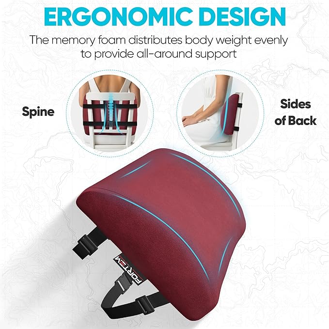 FORTEM Lumbar Support Pillow for Office Chair, Lumbar Support Pillow for Car, Back Rest for Gaming, Memory Foam Pillow, Desk Chair Cushion, Breathable & Washable Cover, Adjustable Straps