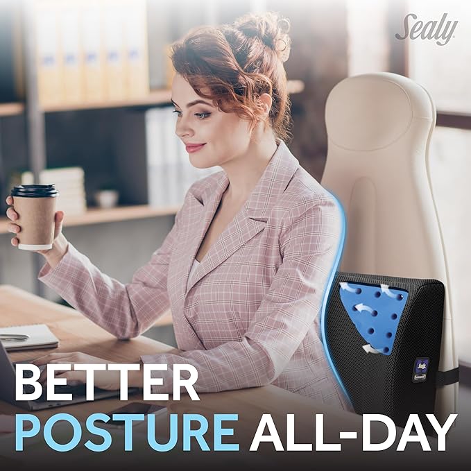Sealy Lumbar Support Pillow with Cooling Gel – Ergonomic Office Chair Cushion for Back Support – Memory Foam Back Pillow for Car, Office, or Home, Black