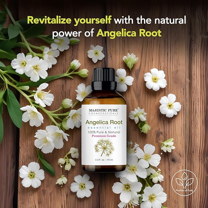 Majestic Pure Essential Oil with Glass Dropper - 100% Pure and Natural - Essential Oils for Diffuser, Aromatherapy, Soap and Candle Making, Angelica Root Essential Oil, Angelica Root Oil, 0.3 Fl Oz