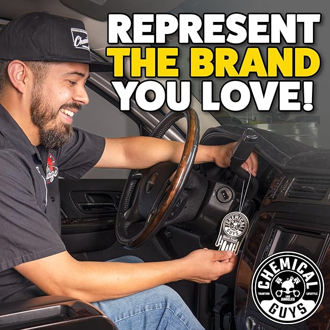 Chemical Guys Car Fresheners, Hanging Air Freshener, Black Frost Scent 12 Pack, Great for Cars, Trucks, SUVs, RVs, Home, Garage, Workspace, Dorm Room & More (4 x 3 Packs)