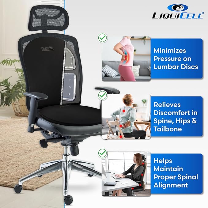 ERGO21 Lumbar Support Pillow for Office Chair, Car, Driving Seat, Auto, Lower Back Pain | Great Back Support with Liquid Filled Membranes | Small Size, (18" W x 18”x 1.5”)