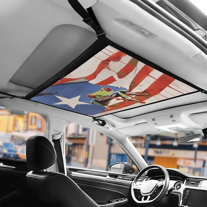 NDISTIN Funny Frog Car Ceiling Storage Net Adjustable Car Ceiling Cargo Net Pocket Puerto Rico Mesh Interior Car Roof Cargo Net Universal Fit for SUV Truck Van Auto Accessory Decor