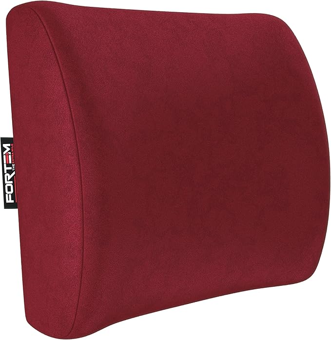 FORTEM Lumbar Support Pillow for Office Chair, Lumbar Support Pillow for Car, Back Rest for Gaming, Memory Foam Pillow, Desk Chair Cushion, Breathable & Washable Cover, Adjustable Straps