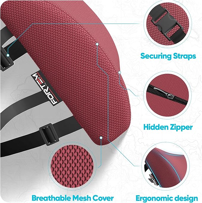 FORTEM Lumbar Support Pillow for Office Chair, Lumbar Support Pillow for Car, Back Rest for Gaming, Memory Foam Pillow, Desk Chair Cushion, Breathable & Washable Cover, Adjustable Straps