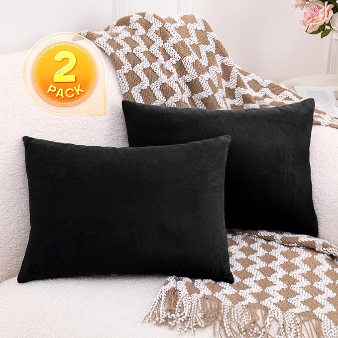 2 Pack Small Pillow, 16 X 12 Inches, Memory Foam Mini Pillow for Travel, Camping, Sleeping, Nap and Neck, Knee, Lumbar Support, Tiny Cushion for Pet, Dogs (Black)