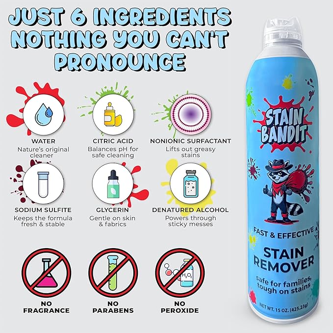 Stain Remover Spray | Non-Toxic Stain Remover Family Safe Formula | Bag-On-Valve 360° Continuous Spray Bottle | Cleaner for Clothes, Upholstery, Carpet & Car Seats 15 Oz, (Pack of 2)