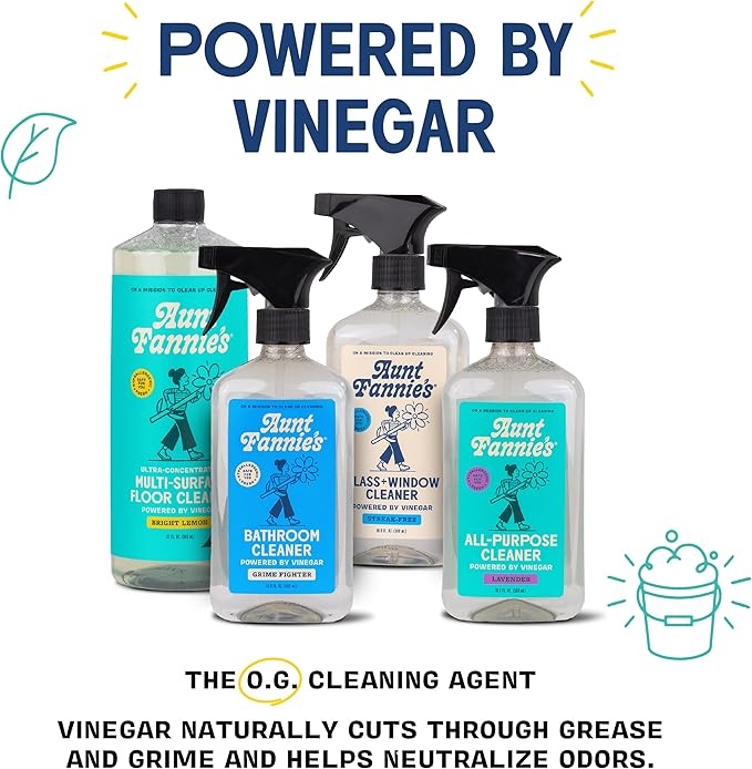 Aunt Fannie's Toy and Highchair Cleaner, Hypoallergenic, Multi-Purpose Spray Powered by Vinegar for Toys, High Chairs, Car Seats, Swings, Counters, and Other Hard Surfaces Fragrance Free, Pack of 1