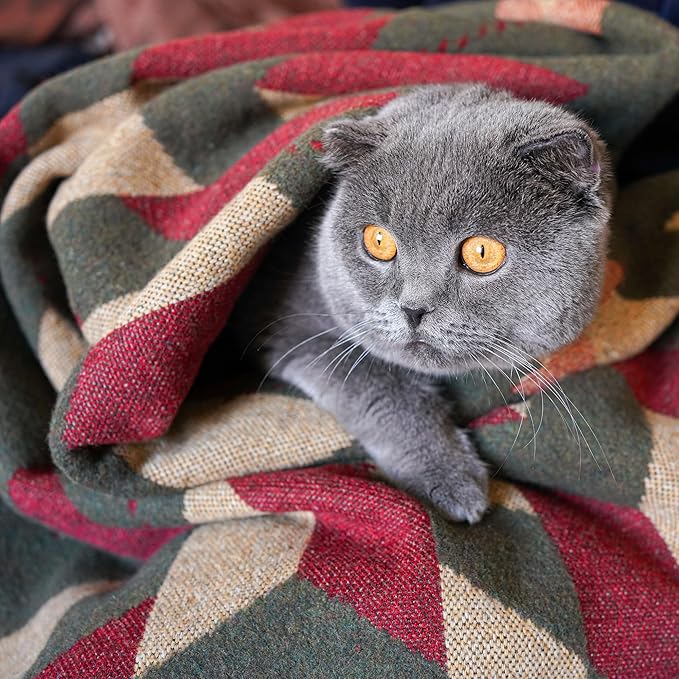 PuTian Merino Wool Camp Blanket - 51" x 63" Great for Bed Couch Camping Outdoors Travel Emergency -Large Warm Soft Washable Wool Throw