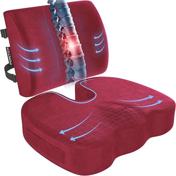 FORTEM Seat Cushion, Office Chair Cushion, Lumbar Support Pillow for Office Chair, Memory Foam Sciatica Coccyx Tailbone Pressure Pain Relief, Car Sitting Pad, Washable Non Slip, XL
