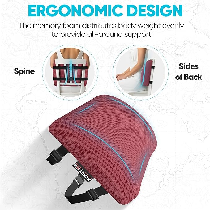 FORTEM Lumbar Support Pillow for Office Chair, Lumbar Support Pillow for Car, Back Rest for Gaming, Memory Foam Pillow, Desk Chair Cushion, Breathable & Washable Cover, Adjustable Straps