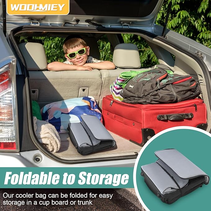 15L Portable Electric Cooler Bag,Car Cooler Watertight Liner Bag, Soft Sided Thermoelectric Travel Cooler with Shoulder Strap, Storage Pocket & DC 12V Plug in for