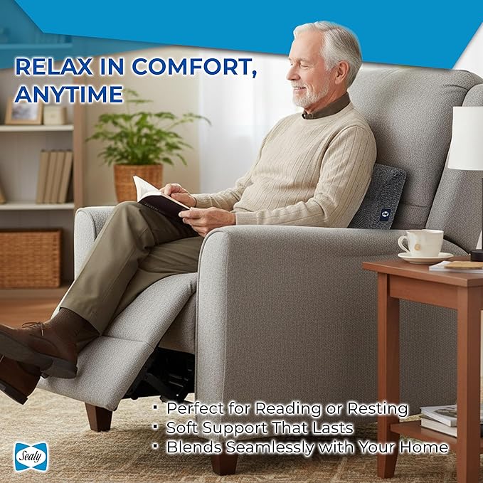 Sealy Ergonomic Lumbar Support Pillow for Office Chair and Car Seat - Memory Foam Back Support Lumbar Pillow, Premium Cushion Chair Support for Lower Back Pain Relief and Versatile Use (Gray)