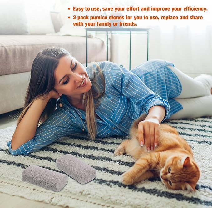 Xuniea 2 Pieces Pet Hair Remover for Cat Hair Removal Pumice Stone Tool Carpet Dog Fur Removal Tool for Car Couch Furniture Bedding Easy to Clean (4 Inches)
