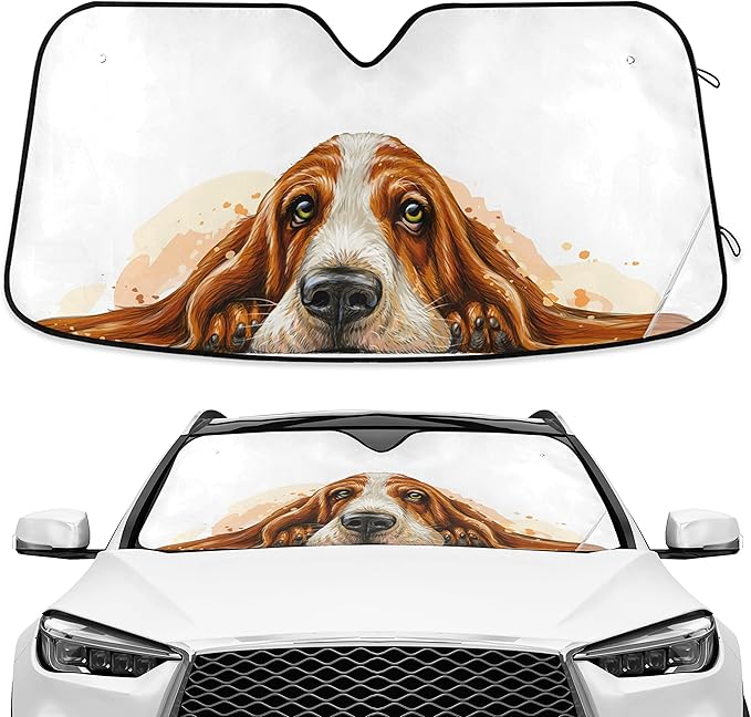 Basset Hound Windshield Sun Shade Basset Hound Sunshade Auto Blocks UV Rays Visor Protector Funny Dog Accordion Folding Sun Reflector Auto Sunshade for Car Truck SUV to Keep Your Vehicle Cool
