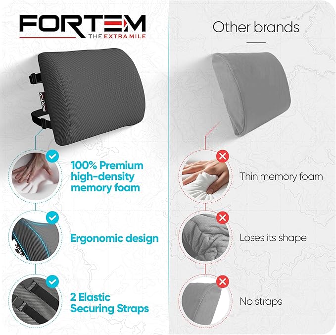 FORTEM Lumbar Support Pillow for Office Chair, Lumbar Support Pillow for Car, Back Rest for Gaming, Memory Foam Pillow, Desk Chair Cushion, Breathable & Washable Cover, Adjustable Straps