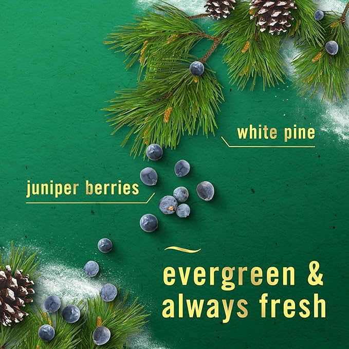 Febreze Odor-Fighting Fade Defy PLUG Air Freshener White Pine & Juniper Berry, 0.87oz Oil Refill, 2 Count