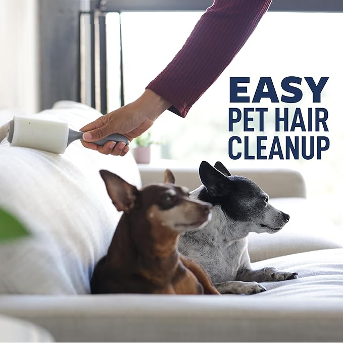 Scotch-Brite Everyday Clean Lint Roller, Lint Remover for Pet Hair, Dark Clothes, Furniture, and Dusty Surfaces, Picks Up Fur & Fluff in Your Home, Car, & Office, 2 Pack, 200 Adhesive Sheets Total