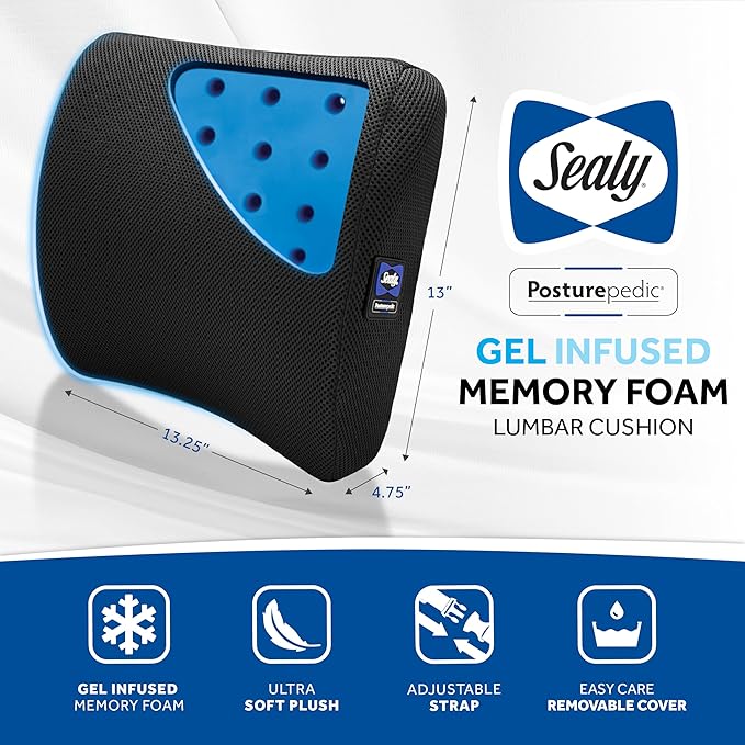 Sealy Lumbar Support Pillow with Cooling Gel – Ergonomic Office Chair Cushion for Back Support – Memory Foam Back Pillow for Car, Office, or Home, Black