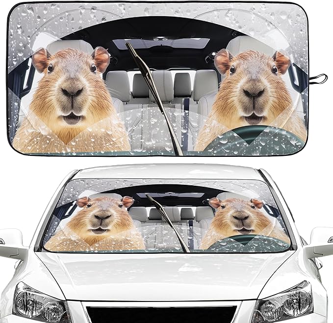 Capybara Car Windshield Sun Shade Foldable Sunshade Front Window Cover Sun Visor Protector Accessories (59x27.5 inches)
