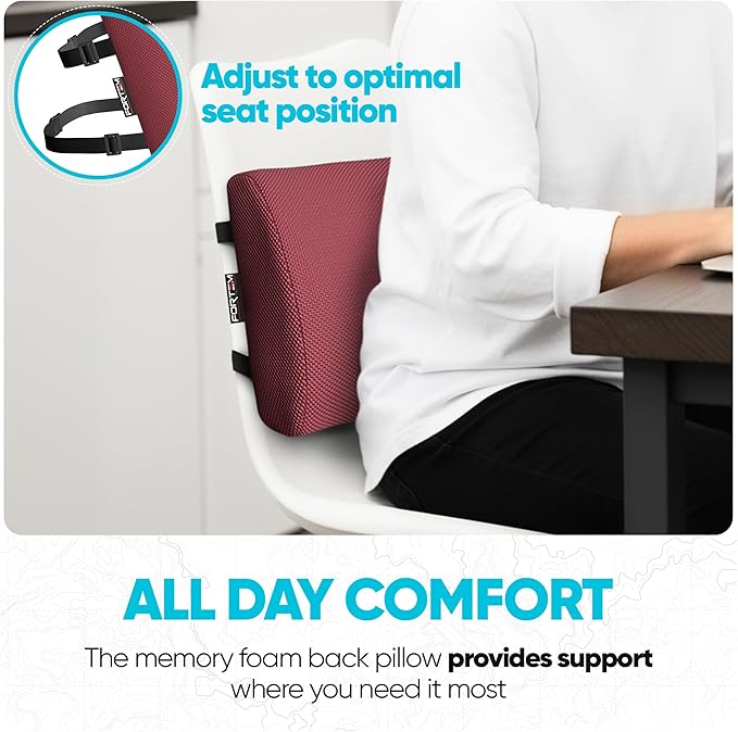 FORTEM Lumbar Support Pillow for Office Chair, Lumbar Support Pillow for Car, Back Rest for Gaming, Memory Foam Pillow, Desk Chair Cushion, Breathable & Washable Cover, Adjustable Straps