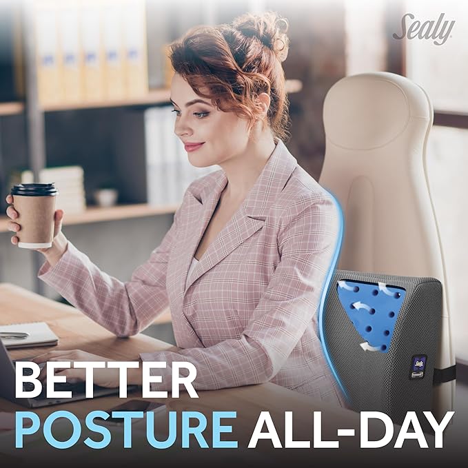 Sealy Lumbar Support Pillow with Cooling Gel – Ergonomic Office Chair Cushion for Back Support – Memory Foam Back Pillow for Car, Office, or Home, Gray