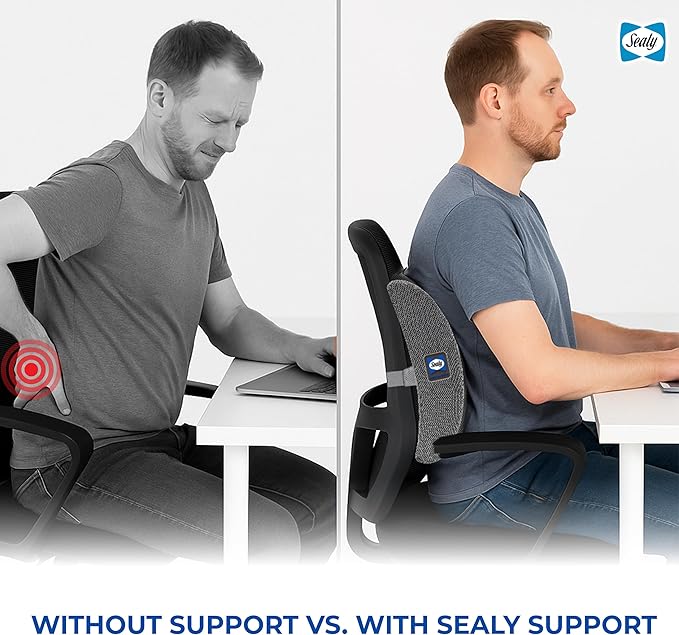 Sealy Ergonomic Lumbar Support Pillow for Office Chair and Car Seat - Memory Foam Back Support Lumbar Pillow, Premium Cushion Chair Support for Lower Back Pain Relief and Versatile Use (Gray)