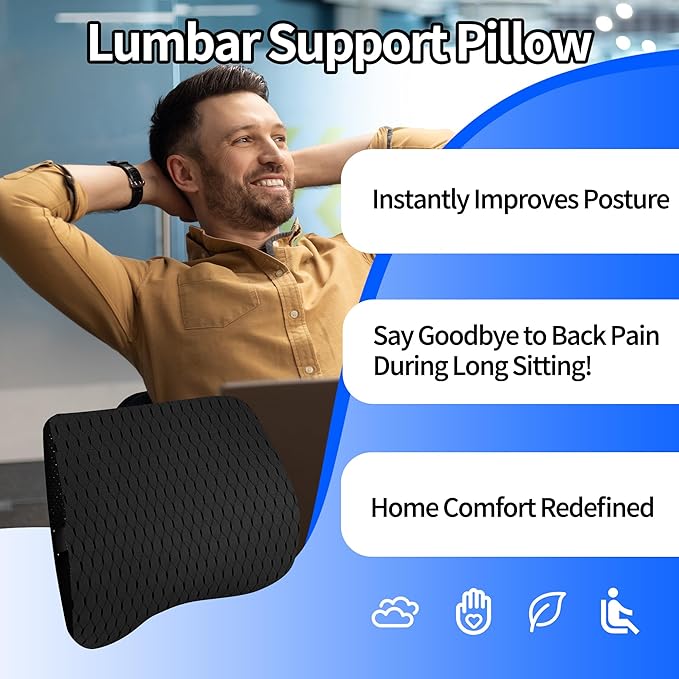 Lumbar Support Pillow for Car & Office Chair - High-Density Memory Foam for Sciatica & Lower Back Pain Relief - Non-Slip Back Support Cushion for Long Commutes & Desk Workers (4D Mesh Black)