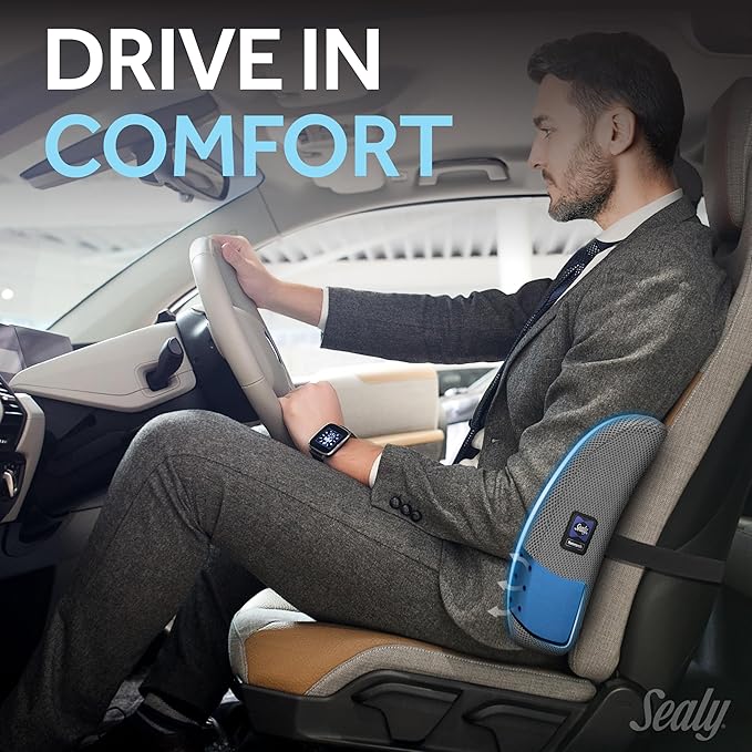 Sealy Lumbar Support Pillow with Cooling Gel – Ergonomic Office Chair Cushion for Back Support – Memory Foam Back Pillow for Car, Office, or Home, Gray