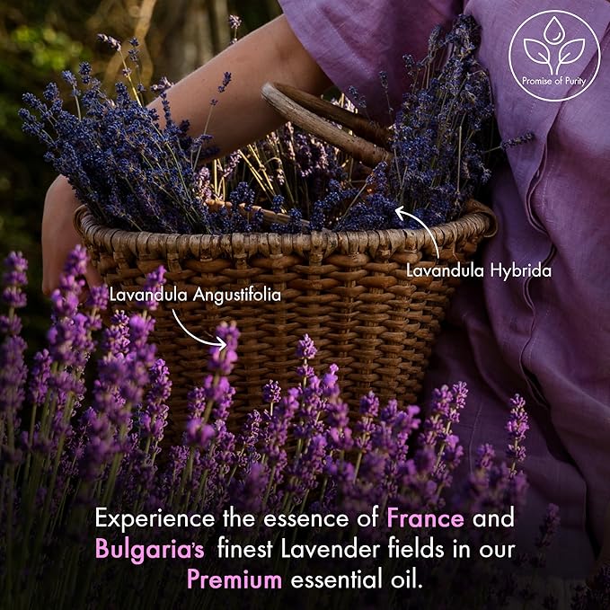 Majestic Pure Essential Oil with Glass Dropper - 100% Pure and Natural - Essential Oils for Diffuser, Aromatherapy, Soap and Candle Making, Lavender Essential Oil, Lavender Oil, 4 Fl Oz Pack of 2