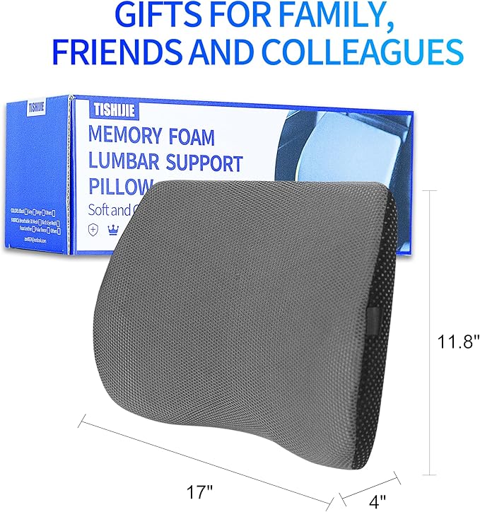 Lumbar Support Pillow for Car, Lower Back Support for Driving Seat Memory Foam Lumbar Pillow for Office Chair - Back Pain Relief for Car Seat, Wheelchair (Dark Gray)