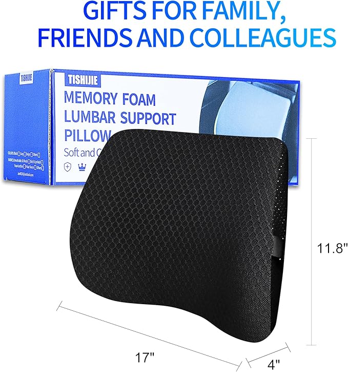 Lumbar Support Pillow for Car & Office Chair - High-Density Memory Foam for Sciatica & Lower Back Pain Relief - Non-Slip Back Support Cushion for Long Commutes & Desk Workers (3D Mesh Black)