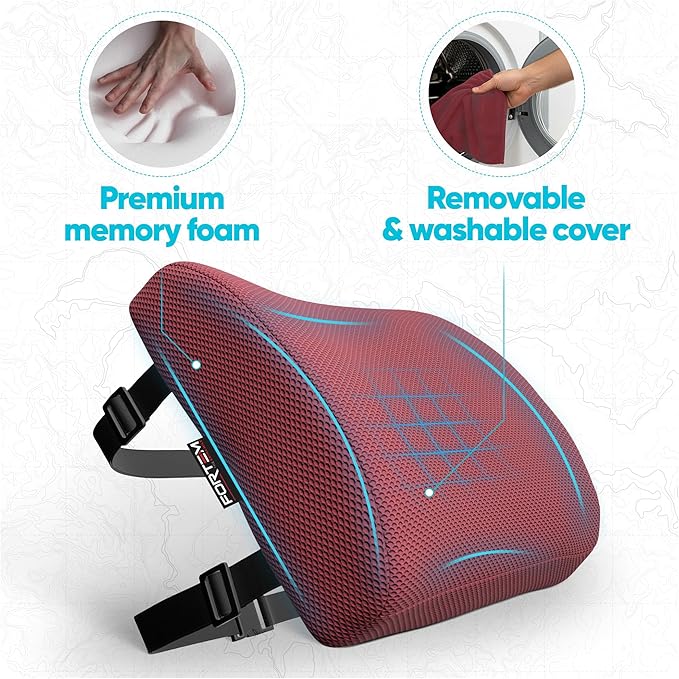 FORTEM Lumbar Support Pillow for Office Chair, Lumbar Support Pillow for Car, Back Rest for Gaming, Memory Foam Pillow, Desk Chair Cushion, Breathable & Washable Cover, Adjustable Straps