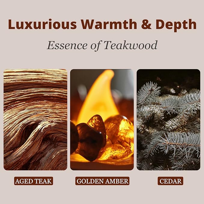 Car Air Freshener - Stone Air Freshener - Car Odor Eliminator for Visor Clip- Natural Scent Starter Kit, Vehicle Scent Diffuser for Cabin, Truck & SUV (Teak)