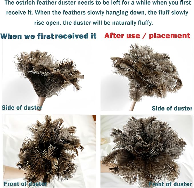 Ostrich Feather Duster for Cleaning-Furniture Dusters with Handle Ddzmz Hand Duster with Fluffy Natural Genuine Feather Reusable Household Duster, Gray and Brown(Length 16")