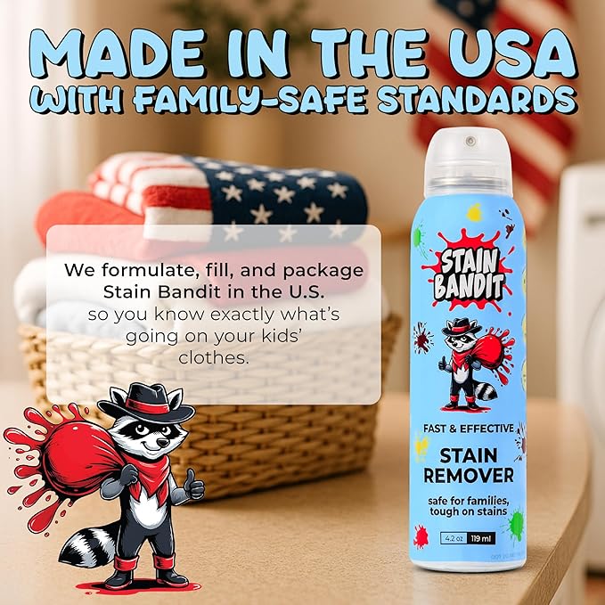 Stain Remover Spray | Non-Toxic Stain Remover Family Safe Formula | Bag-On-Valve 360° Continuous Spray Bottle | Cleaner for Clothes, Upholstery, Carpet & Car Seats 4.2 Oz, (Pack of 1)
