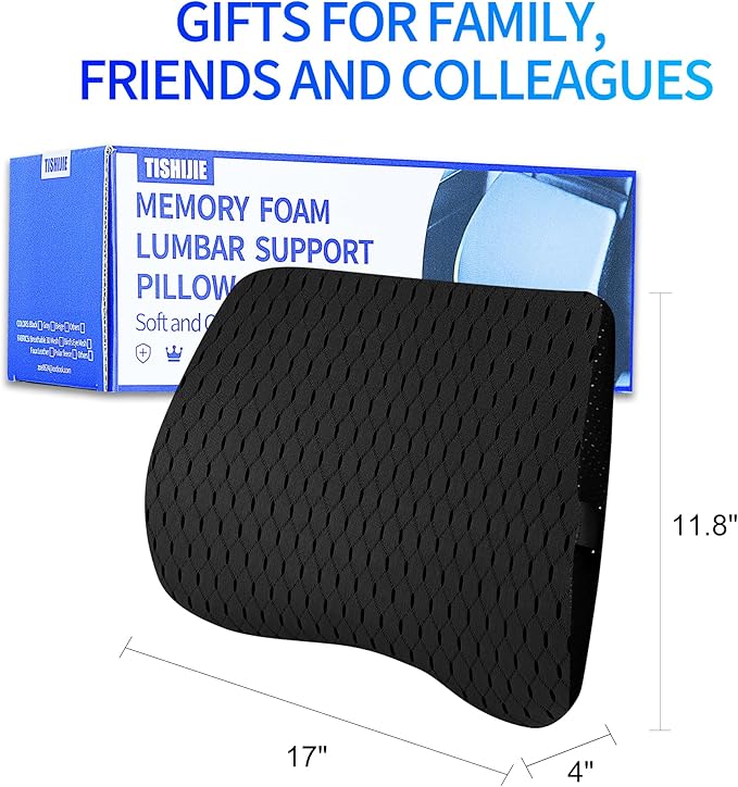 Lumbar Support Pillow for Car & Office Chair - High-Density Memory Foam for Sciatica & Lower Back Pain Relief - Non-Slip Back Support Cushion for Long Commutes & Desk Workers (4D Mesh Black)