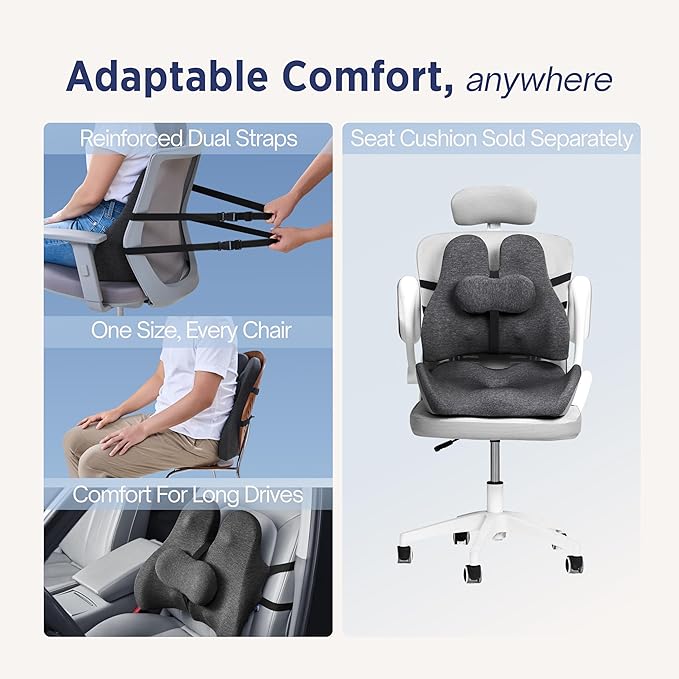Lumbar Support Pillow for Office Chair - Ergonomic Lower Back Pillow with Adjustable SpineAlign™ Bolster, Firm Memory Foam Pillow for Car, Couch - Dual Straps, Light Grey (Light Grey)