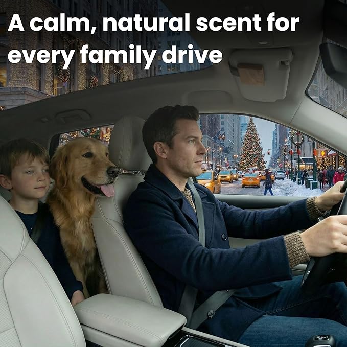 Car Air Freshener - Wood Air Freshener Refill - INCLUDED Premium Leather Clips - Car Odor Eliminator for Visor Clip - Long Lasting Scent - Vehicle Scent Diffuser for Cabin, Truck & SUVs - Pack of 3