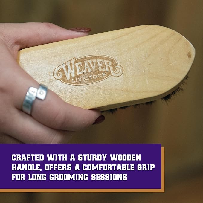 Weaver Livestock Barn Brush, Wooden Grooming Brush for Goat, Sheep, Pigs, Cattle, Stiff Bristles for Dirt Removal, Show Animal Grooming Tools