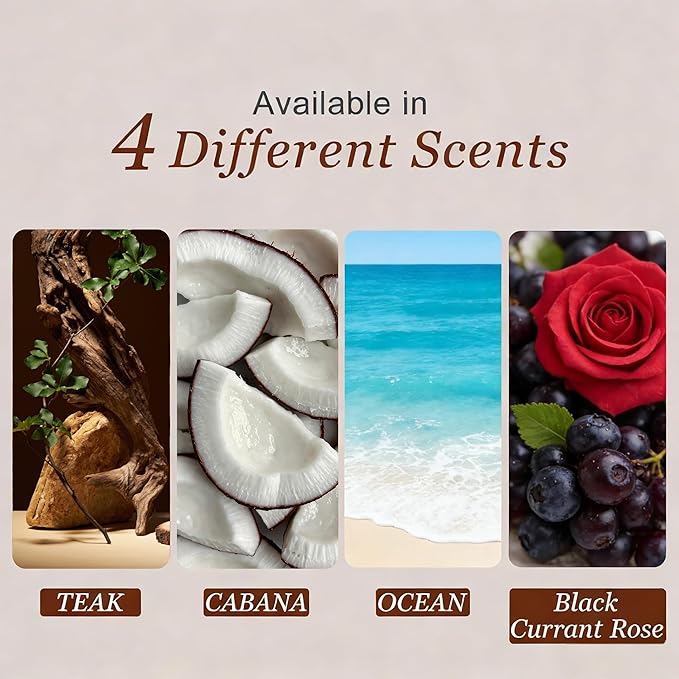 Car Air Freshener, Wood Air Freshener, Car Odor Eliminator for Visor Clip, 4-Pack Variety Scent Refill, Long Lasting - CLIP INCLUDED (Teak-Cabana-Ocean-Black Currant Rose)