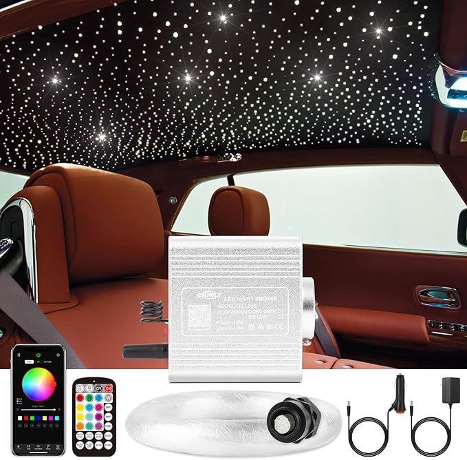 CHINLY 550pcs Starlight Headliner Kit, Upgraded Twinkle Lights, RGBW Fiber Optic Lights, Car Star Lights for Ceiling Car Theater, 0.03in 9.8ft