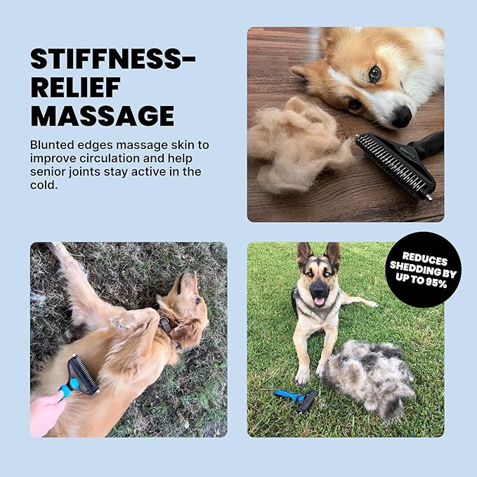 MalsiPree Dog Brush - Large, Orange - 2-in-1 Deshedding Tool & Undercoat Rake, Dog Undercoat Brush - Gentle Dematting Comb & Pet Hair Removal Tool - Smooth-Edge Design & Grooming Comb