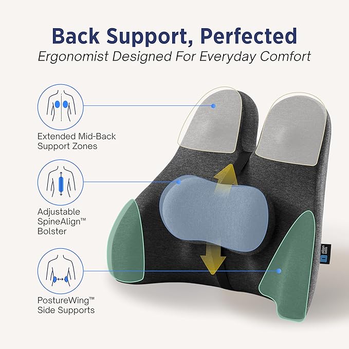 Lumbar Support Pillow for Office Chair - Ergonomic Lower Back Pillow with Adjustable SpineAlign™ Bolster, Firm Memory Foam Pillow for Car, Couch - Dual Straps, Light Grey (Light Grey)