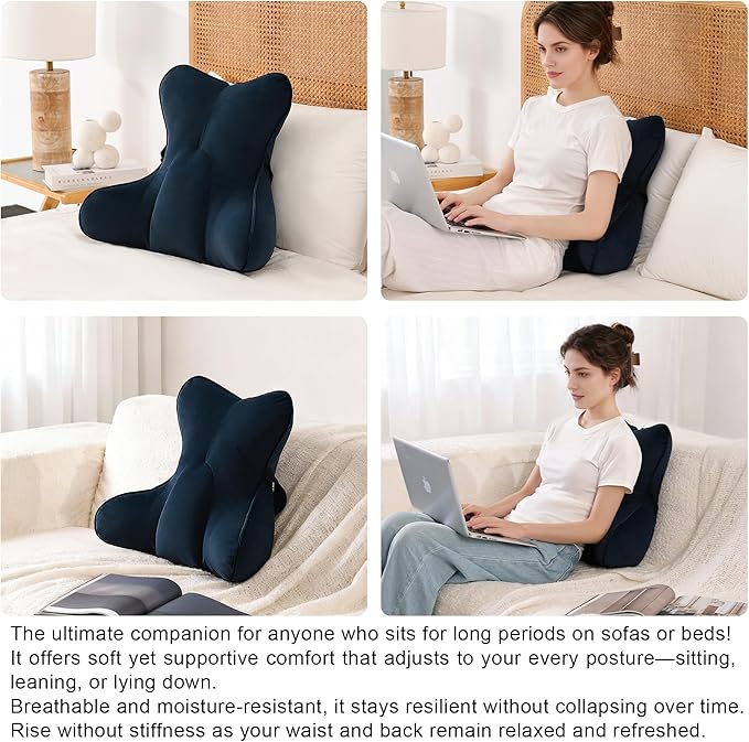 Lumbar Support Pillow(Pat. Pend) – Multi-Functional Ergonomic Back Cushion for Office Chair, Car Seat & Sofa, Reading Pillow with Firm Multi-Zone Support to Relieve Lower Back Pain,Teal Blue