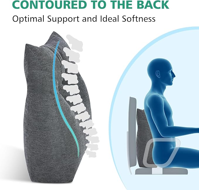 Shinnwa Lumbar Support Pillow for Office Chair, Memory Foam Back Support Pillow for Back Pain Relief, Car, Chair and Couch, 17.5x15x4.5in, Charcoal