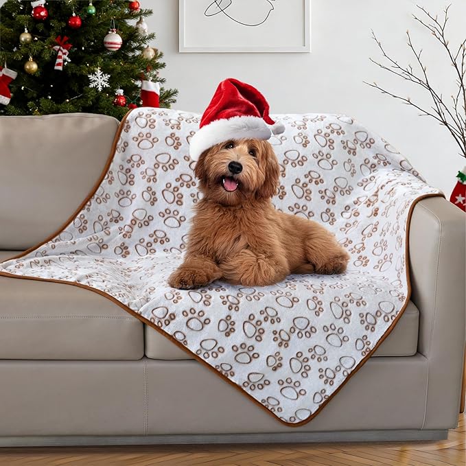 Stuffed Large Brown Premium Soft Dog Blanket, with Flannel Cute Paw Print, 43 * 66 inches, Cat Blanket Maltipoo Puppy Essentials