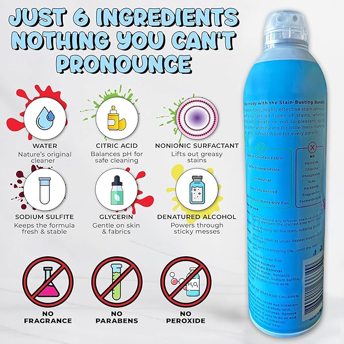 Stain Remover Spray | Non-Toxic Stain Remover Family Safe Formula | Bag-On-Valve 360° Continuous Spray Bottle | Cleaner for Clothes, Upholstery, Carpet & Car Seats 4.2 Oz, (Pack of 1)